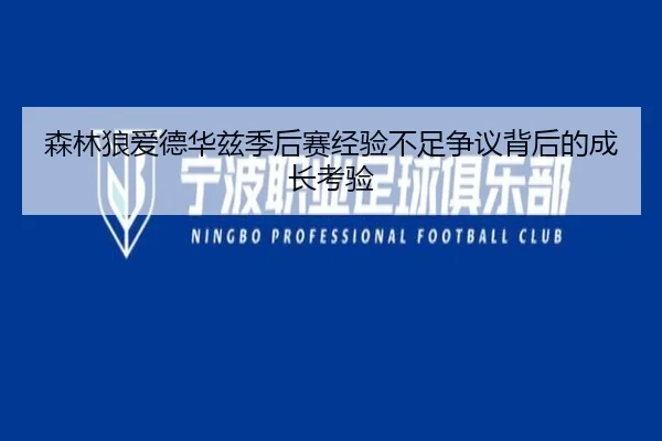 森林狼爱德华兹季后赛经验不足争议背后的成长考验