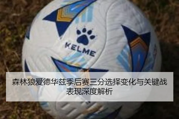 森林狼爱德华兹季后赛三分选择变化与关键战表现深度解析